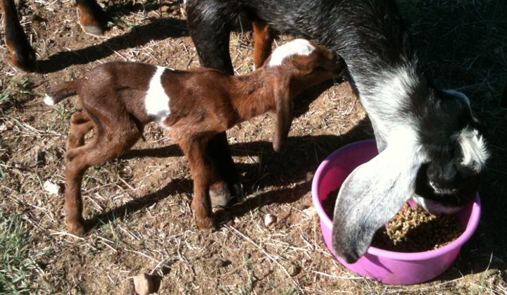 Sera and Darlene, 04/05/11